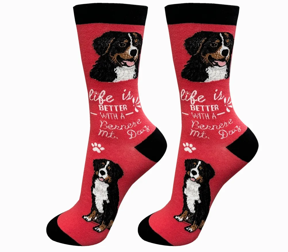 Bernese Mountain Dog - Life is Better Socks