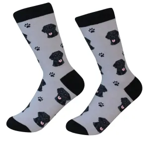 Black Labrador Socks